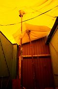 Yellow Ceiling '05